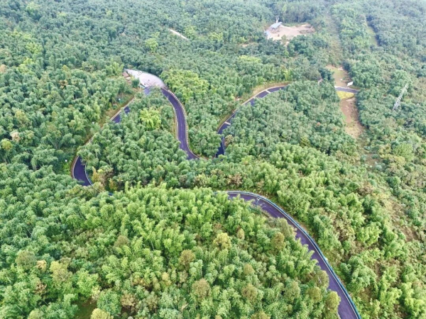 产业路4