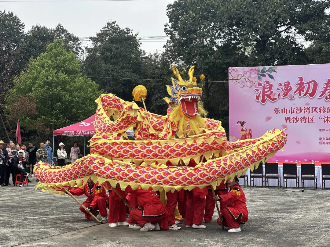 樱花5