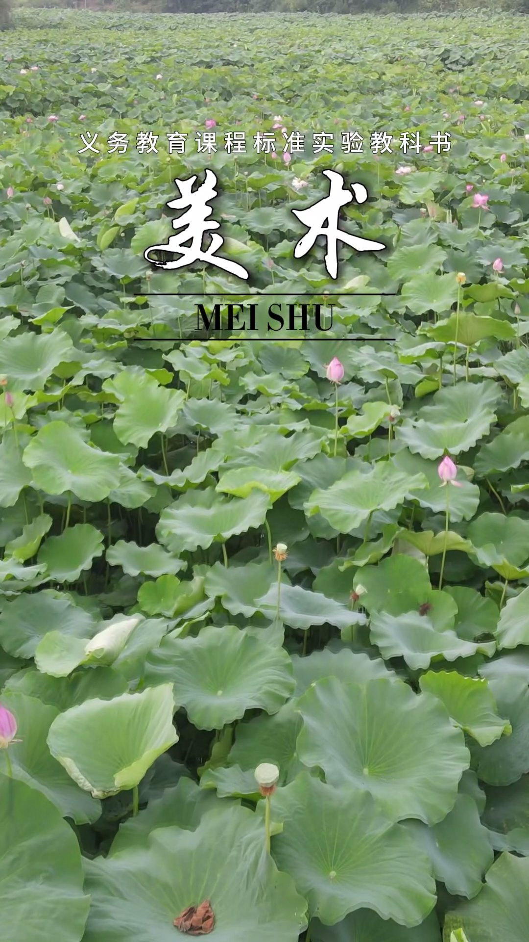 地 理6