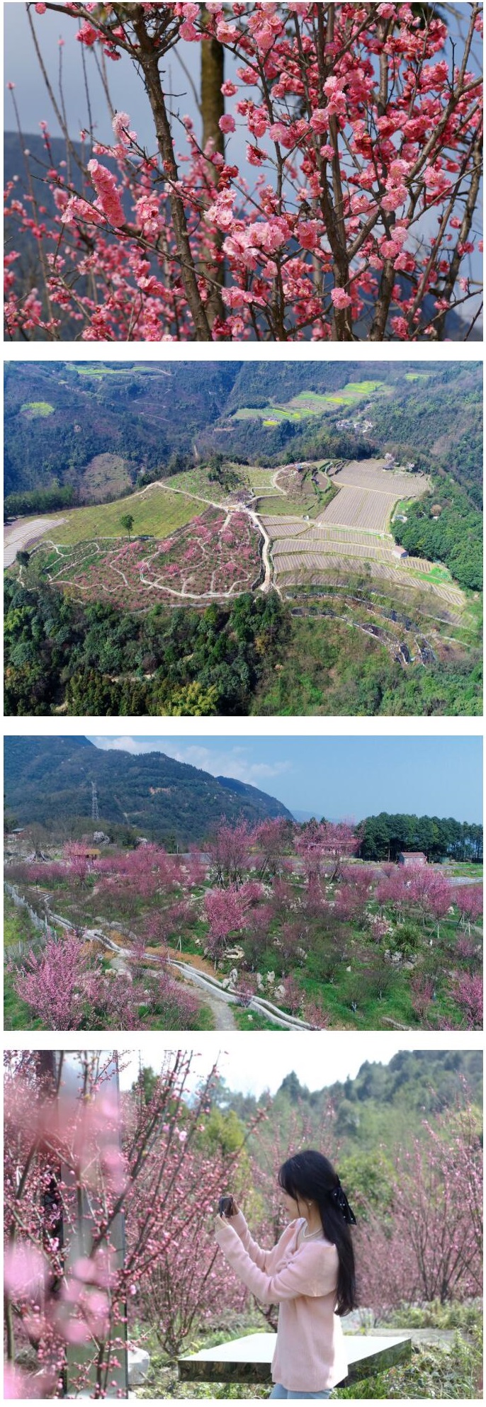 沙湾这条短途游线路3