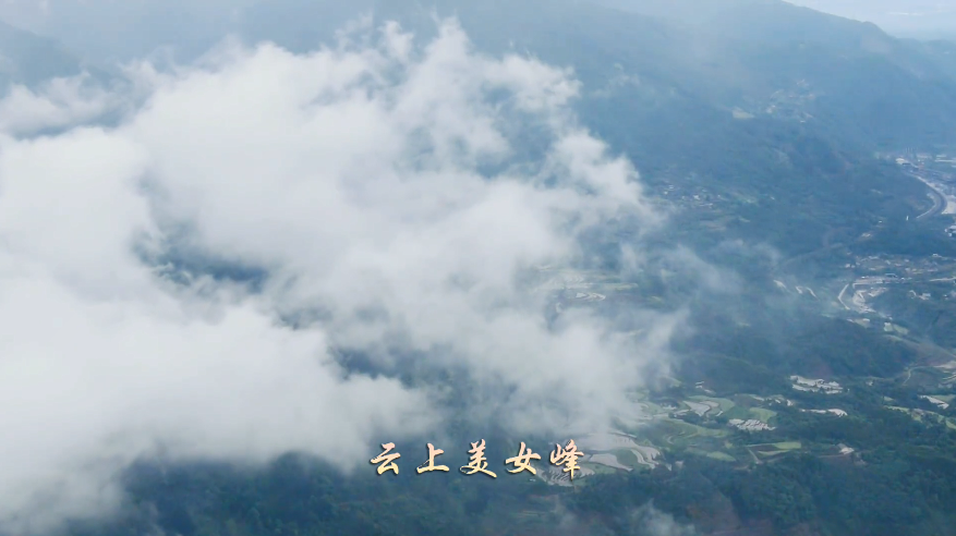 QQ截图20210426145235