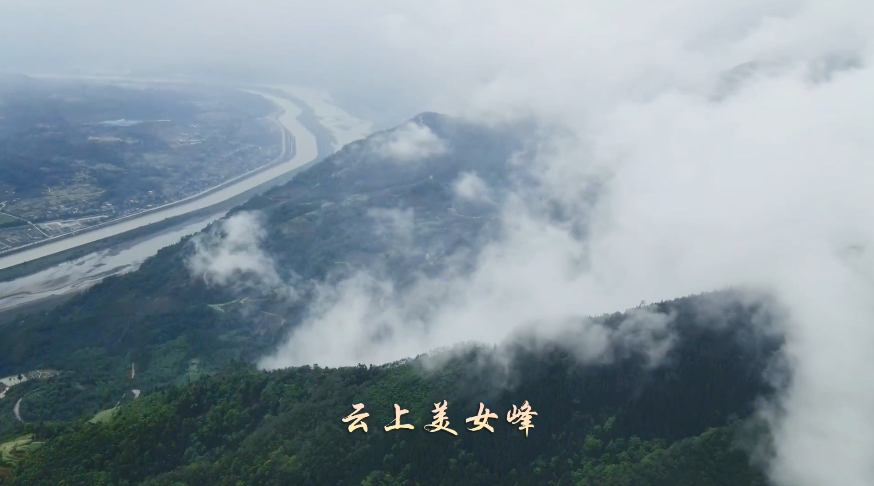 QQ截图20210426145300