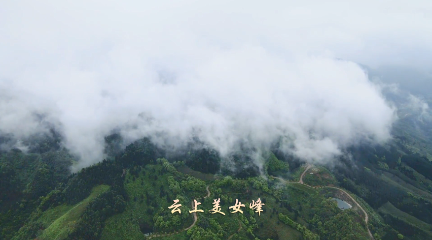 QQ截图20210426145250