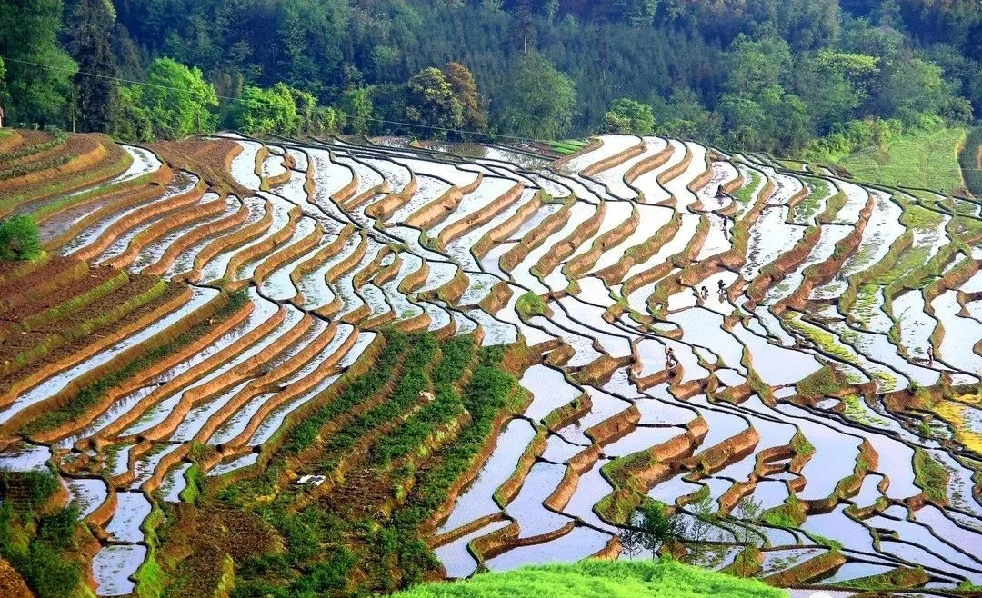 沙湾20