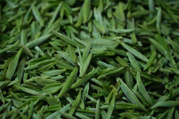 新绿3