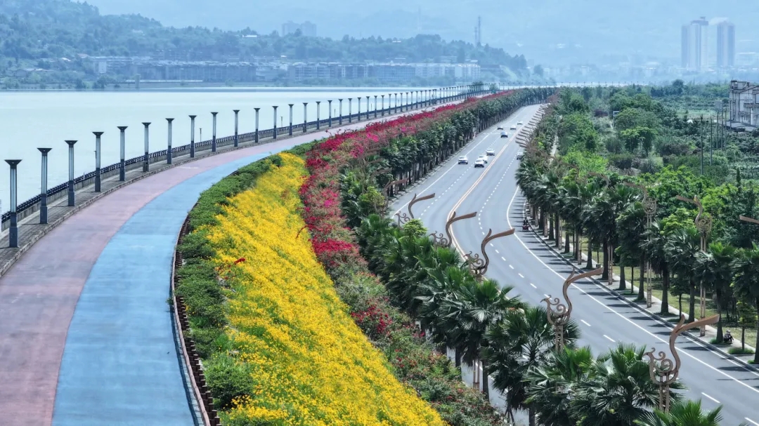 花海8