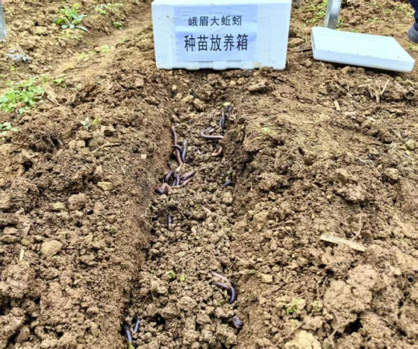 通不过