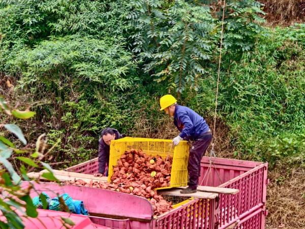 东西