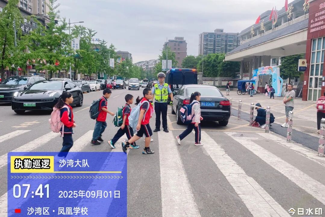 样
