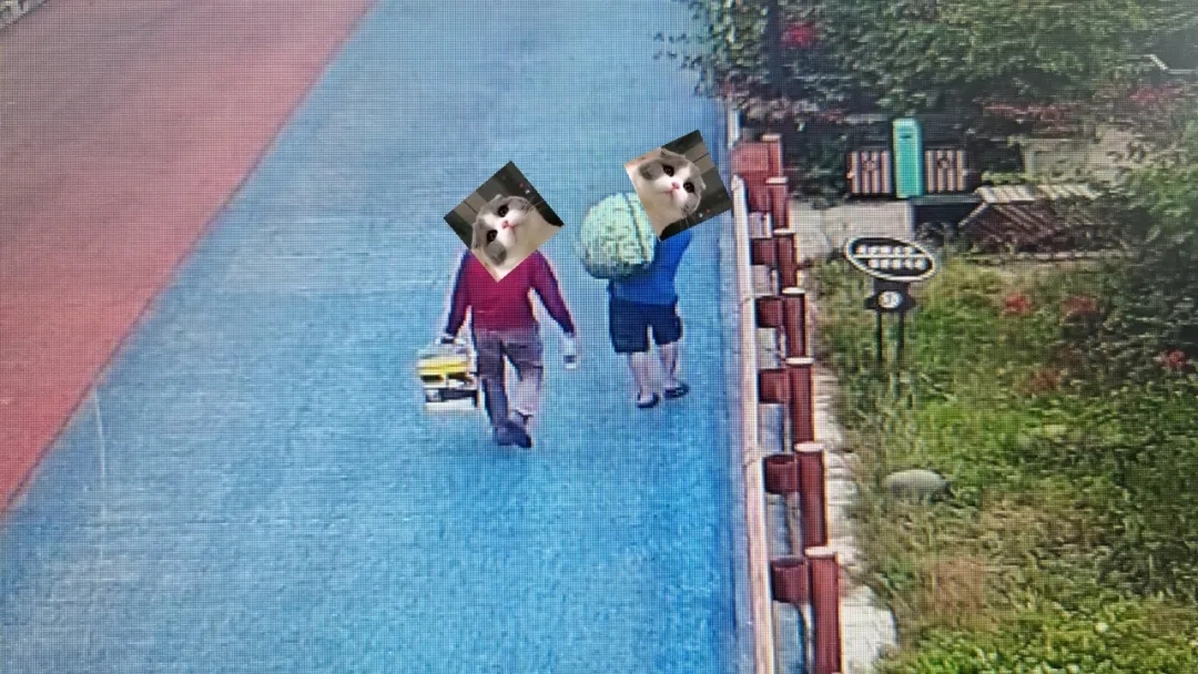 嘉农3